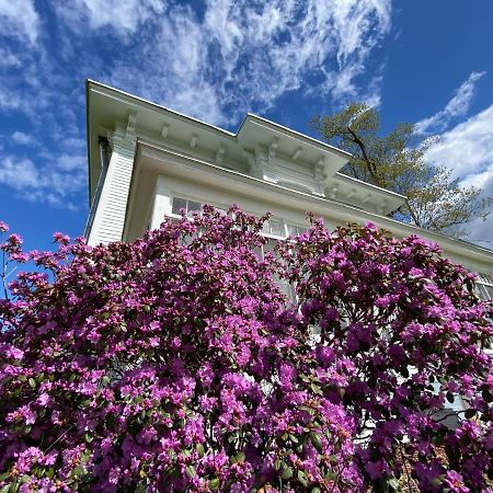 Bloom Farm Guesthouse Mount Vision Εξωτερικό φωτογραφία
