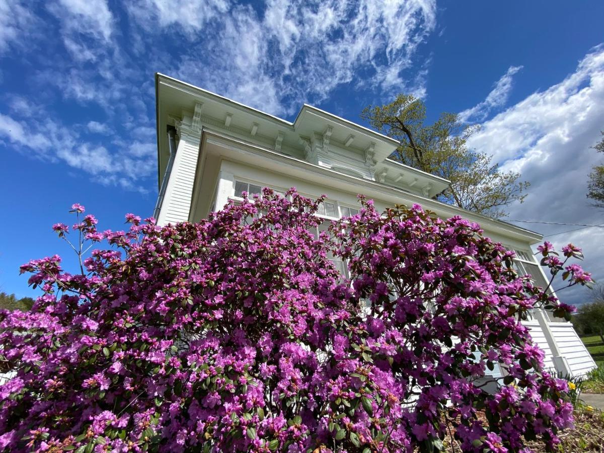 Bloom Farm Guesthouse Mount Vision Εξωτερικό φωτογραφία