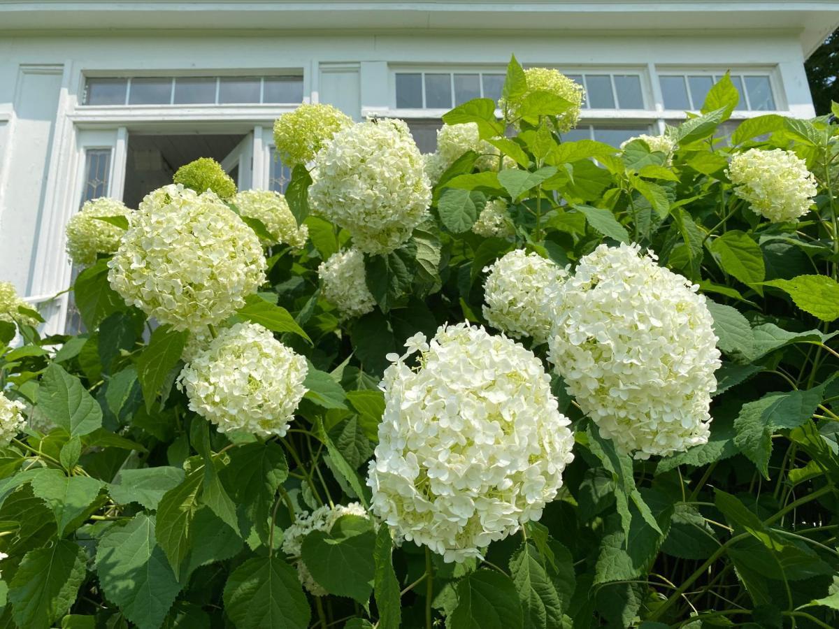 Bloom Farm Guesthouse Mount Vision Εξωτερικό φωτογραφία